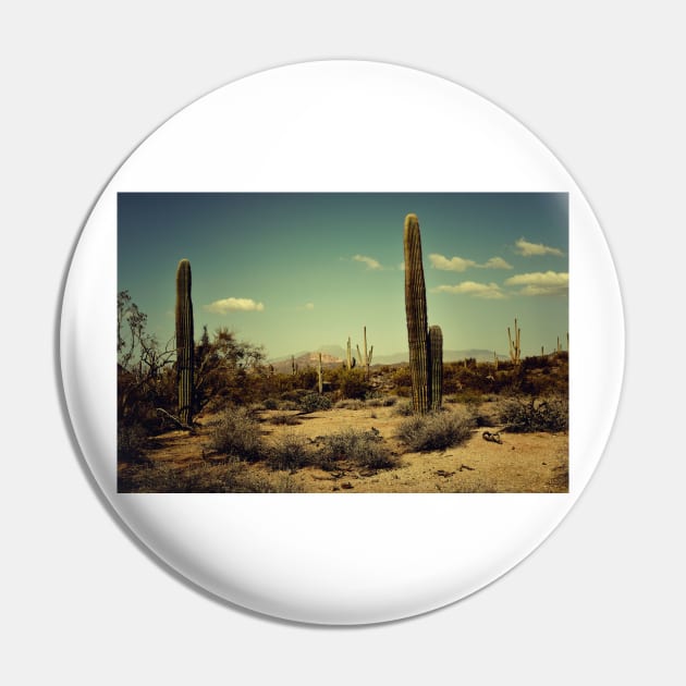 Arizona Landscape - Sonoran Desert Pin by JimDeFazioPhotography