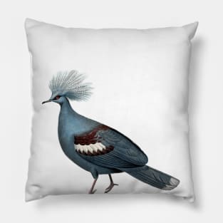 Magnificent Bird Pillow