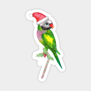 Red breasted parakeet Christmass version Magnet