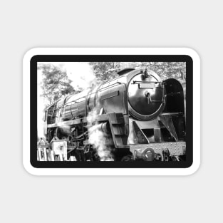 Vintage steam train on the Norfolk Poppy Line Magnet