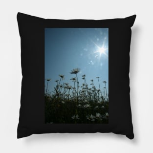 Daisies Pillow