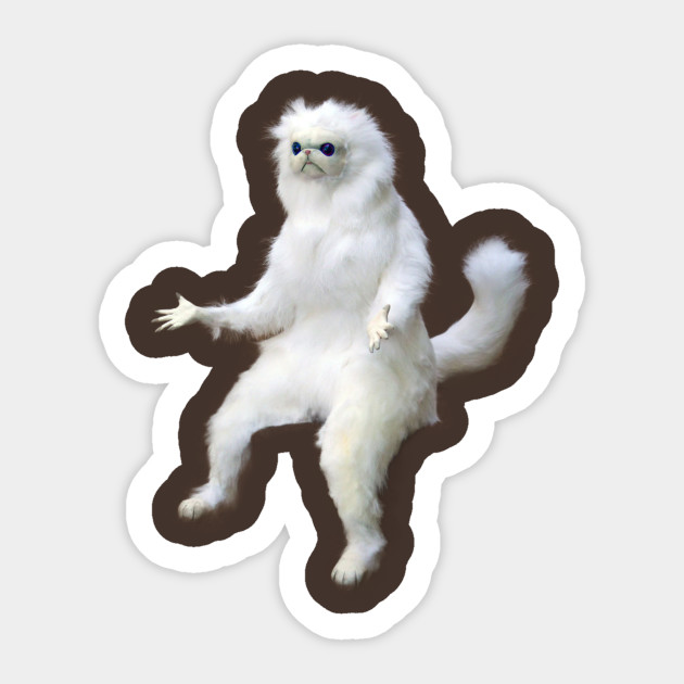 White Cat Cat Meme Cat Sticker Teepublic