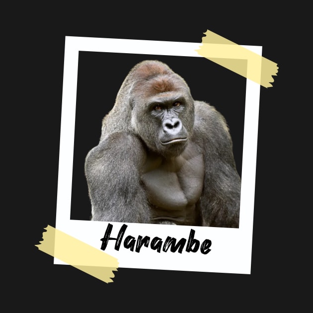 Harambe Polaroid by AwkwardTurtle