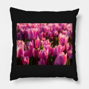 Pink Tulips Pillow