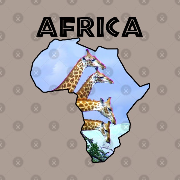 Africa Wildlife Continent 4 Giraffes by PathblazerStudios