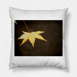 A Leaf at Sunset Pillow