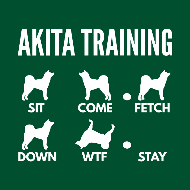 Akita Inu Training Akita Inu Dog Tricks by DoggyStyles