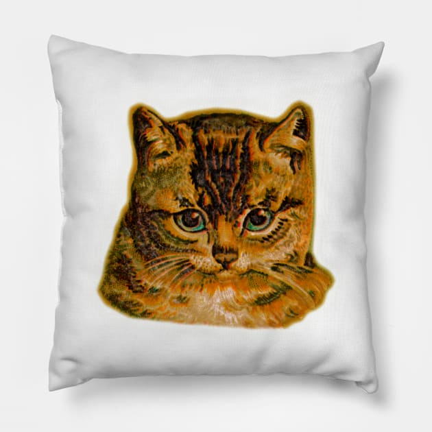 Cat face painted with oil on canvas, vintage, old print and with class of honor to the cats Pillow by Marccelus