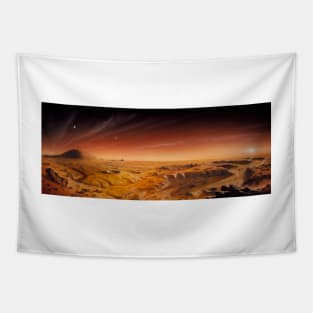 Artwork of Mars surface panoroma (R360/0049) Tapestry