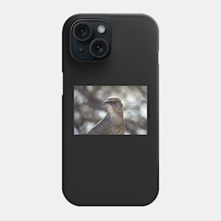 Curve billed thrasher's portrait Phone Case