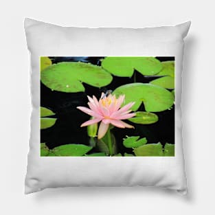 Blue Dragonfly On Pink Flower Pillow