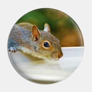 North American Ground Squirrel Pin