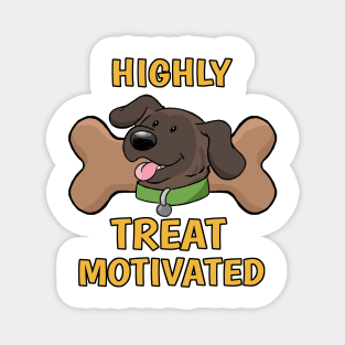 Highly Treat Motivated Magnet