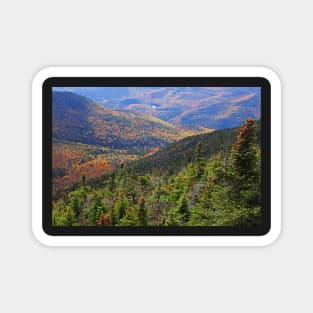 Foliage Covered Mountainscape Keene Valley Adirondacks New York Magnet