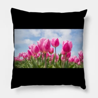 Fields Of Roses Pillow