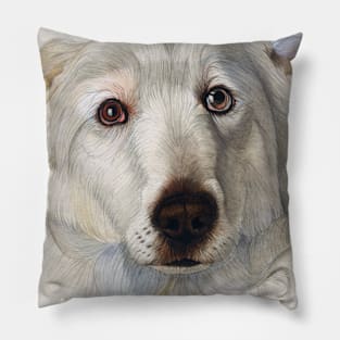 Maremma dog Pillow