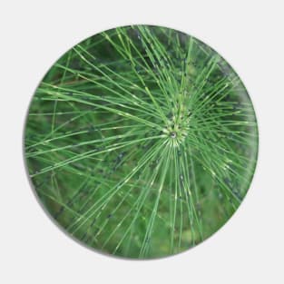 Horsetail Pin