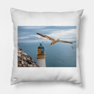 Gannets at Bass Rock Lighthouse Pillow