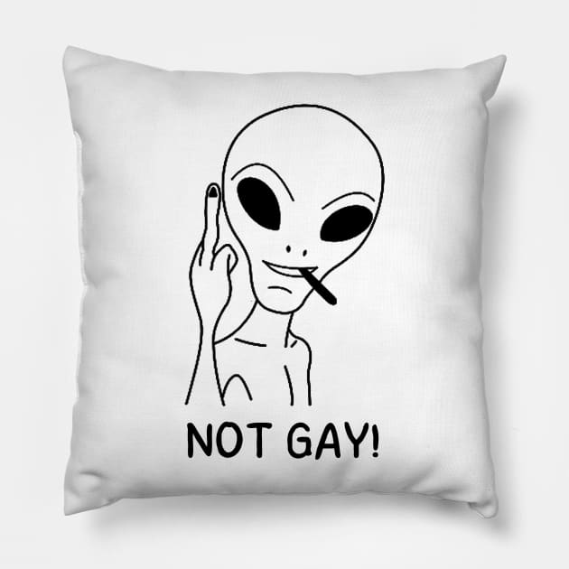 not gay Pillow by mdr design