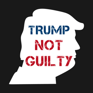 Trump Not Guilty, Free Trump. T-Shirt