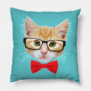 Geek Cat Pillow