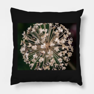 Allium Head Pillow