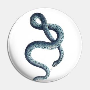 Blue snake Pin