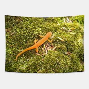 Red Spotted Newt Tapestry