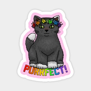 Purrfect Kitty Magnet