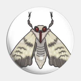 Cute Moth Drawing Pin