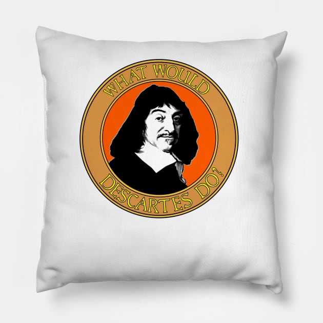 Descartes Pillow by Retro-Matic