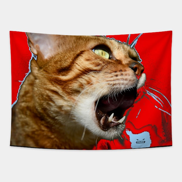 Bengal Katze 1 / Swiss Artwork Photography Tapestry by RaphaelWolf