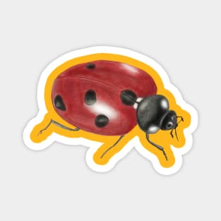 Ladybug Magnet