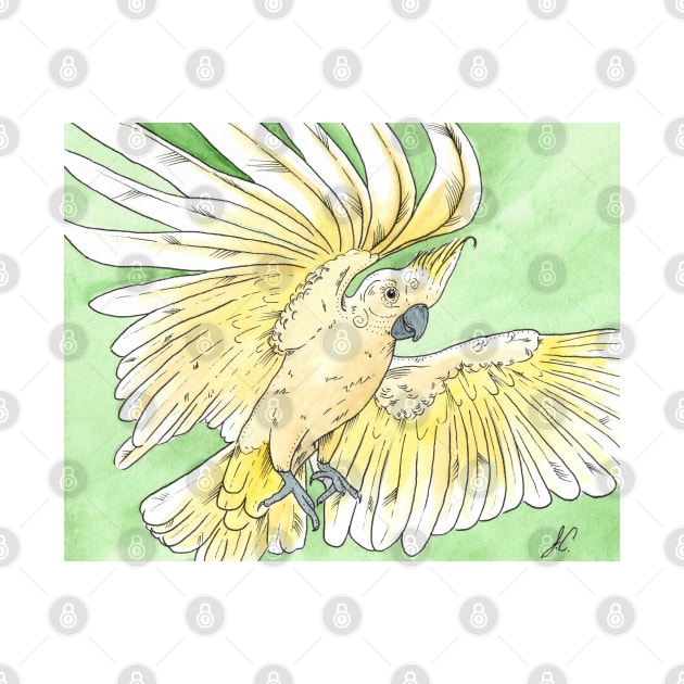 watercolor flying sulphur crested cockatoo hug with lineart by Oranjade0122