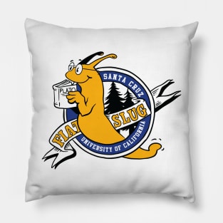 Santa Cruz - University Of California Pillow