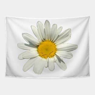 Oxeye Daisy II Tapestry