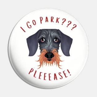 I Go Park? Pin