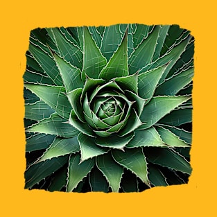 Arizona Agave Top View 01 T-Shirt