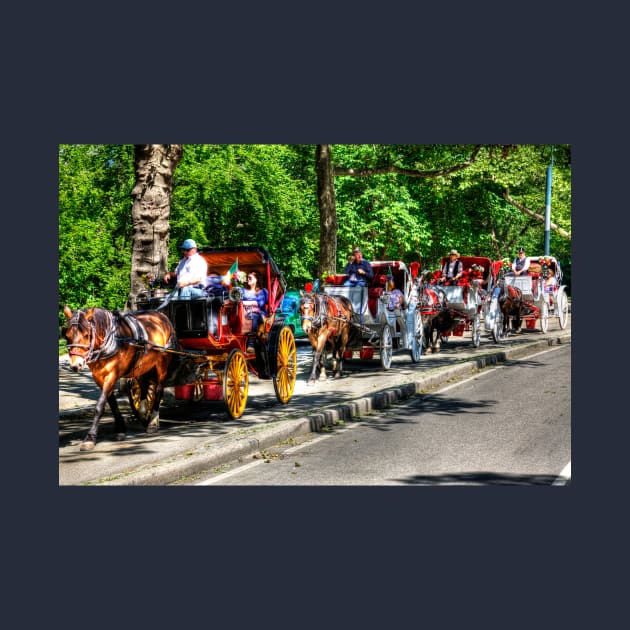 Central Park Carriage Ride by tommysphotos