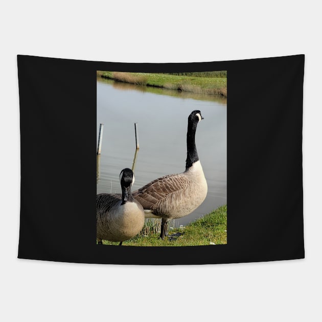 beautiful nature, wild geese, gift Tapestry by AnnaMartaFoley