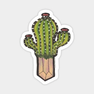 Cactus with crystal roots 2 Magnet