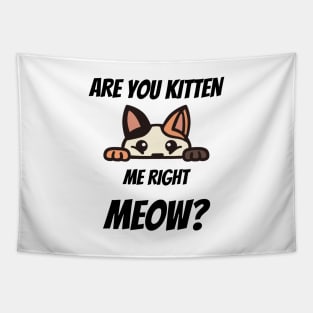 Are You Kitten Me Right Meow T-shirt Tapestry