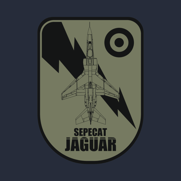 Sepecat Jaguar by Tailgunnerstudios