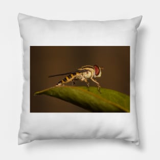 Perched Pillow