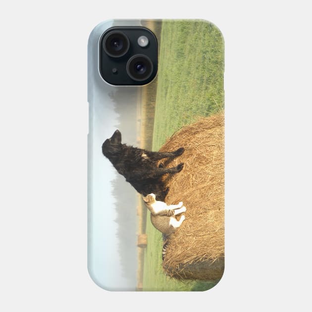 Best Buddies Dog and Cat Phone Case by NiftyGaloot