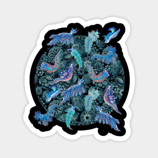 Ernst Haeckel Blue Hued Nudibranch on Cerulean Sea Squirts Magnet by Scientistudio