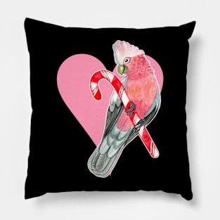 Galah Parrot on Candy Cane and Heart Pillow