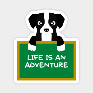 Advice Dog - Life Is An Adventure Magnet