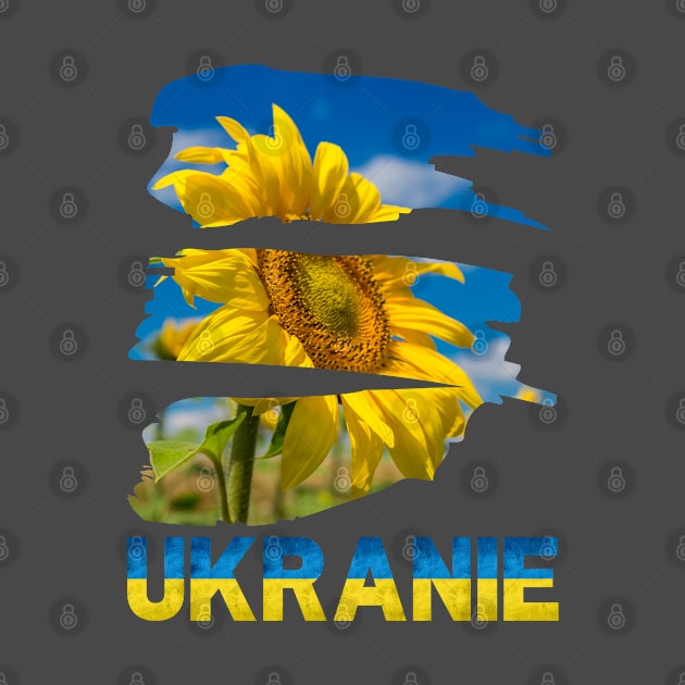 Ukraine sunflower by Myartstor 