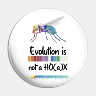 Evolution is not a hoax Hox Genes Similarities Housefly and centipede Pin